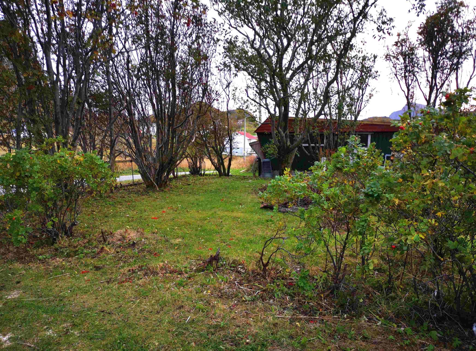 Tatt fra innkjørsel mot garasje og innkjørsel til garasje Galleribilde