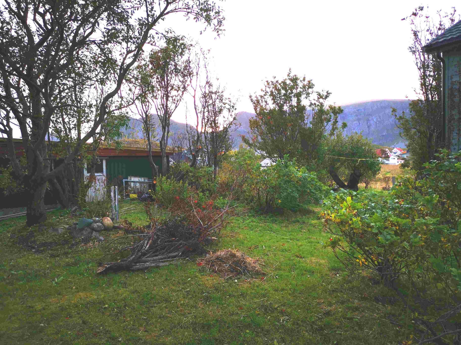 Tatt fra innkjørsel mot garasje Galleribilde