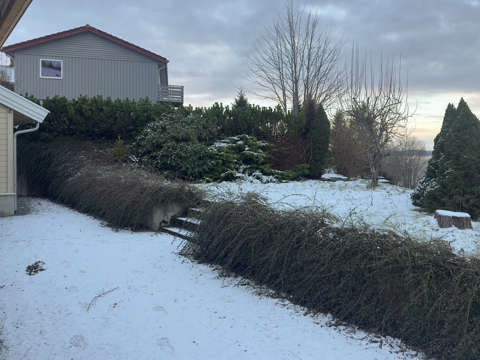 Egen parkering Galleribilde