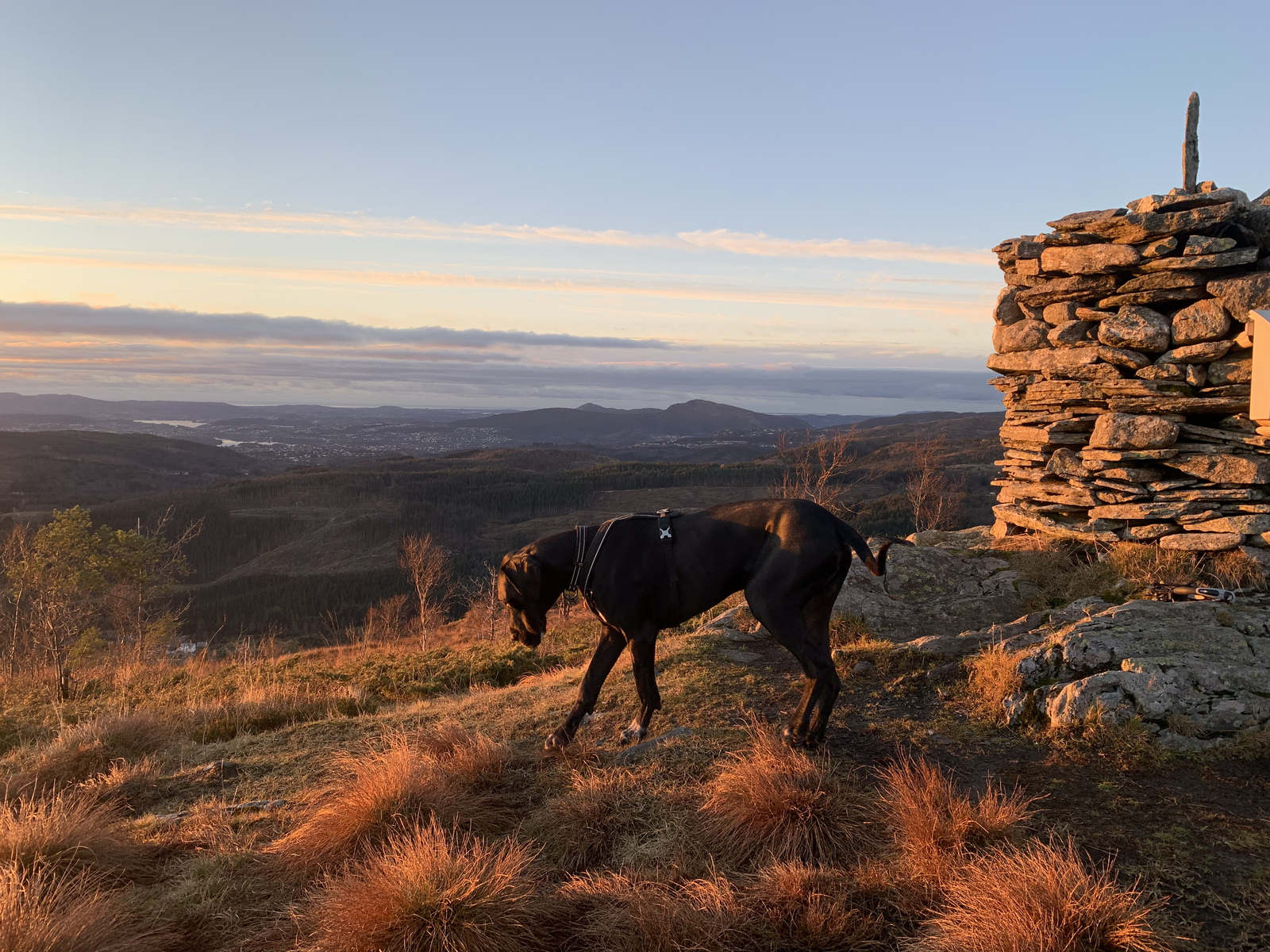 Fra Solbakkafjellet Galleribilde