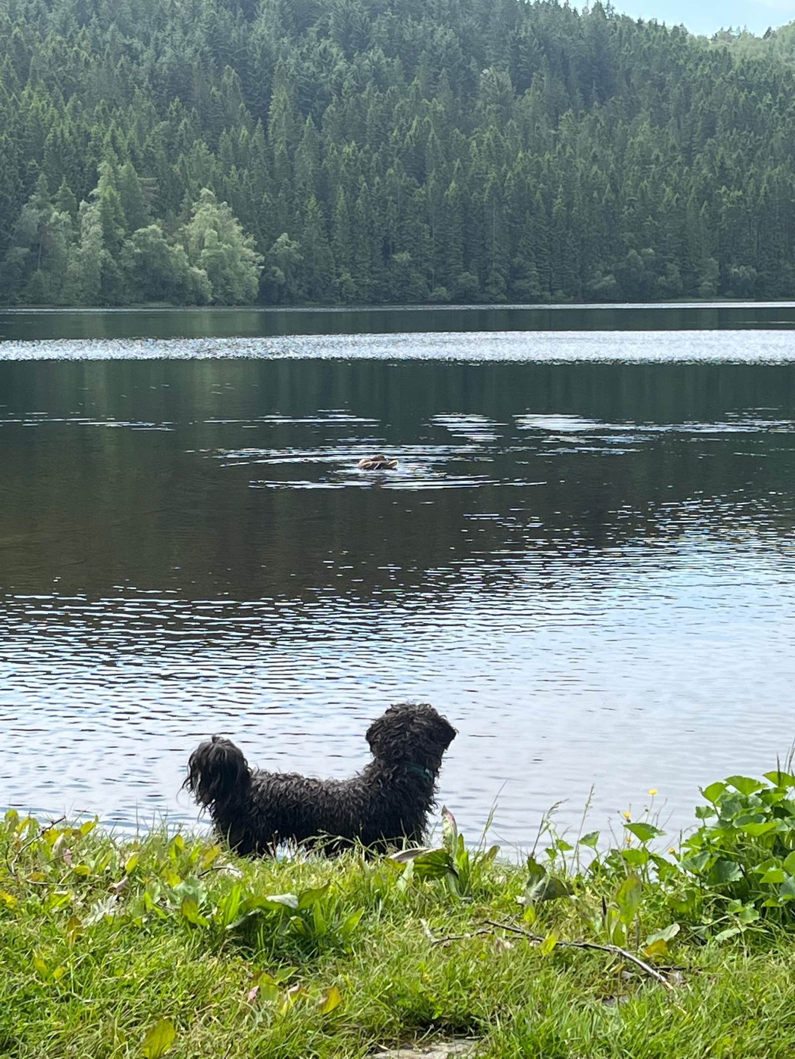 En sommerdag ved Stignavatnet hvor man kan fiske og bade. Galleribilde
