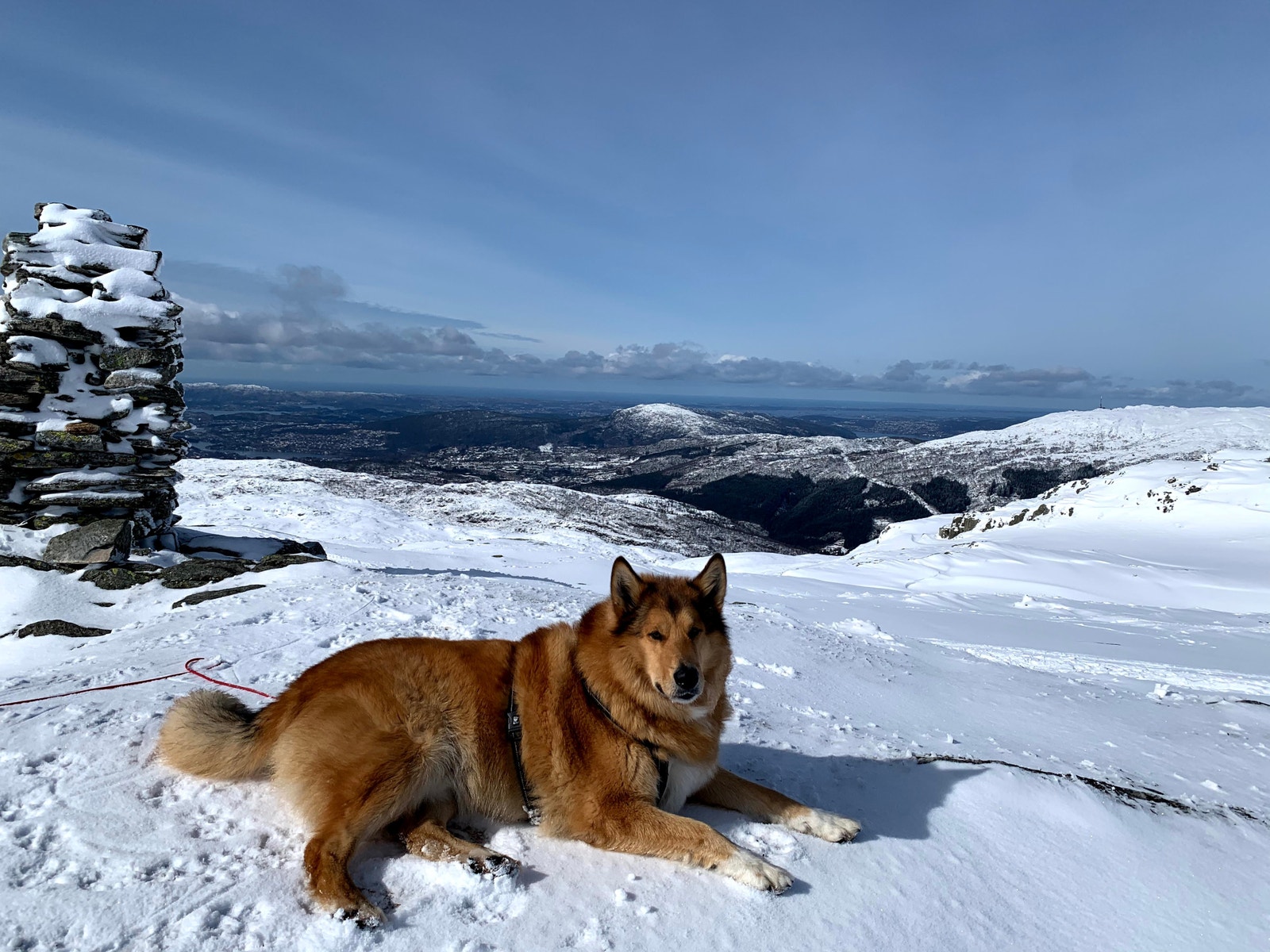 Fra Livarden. Galleribilde