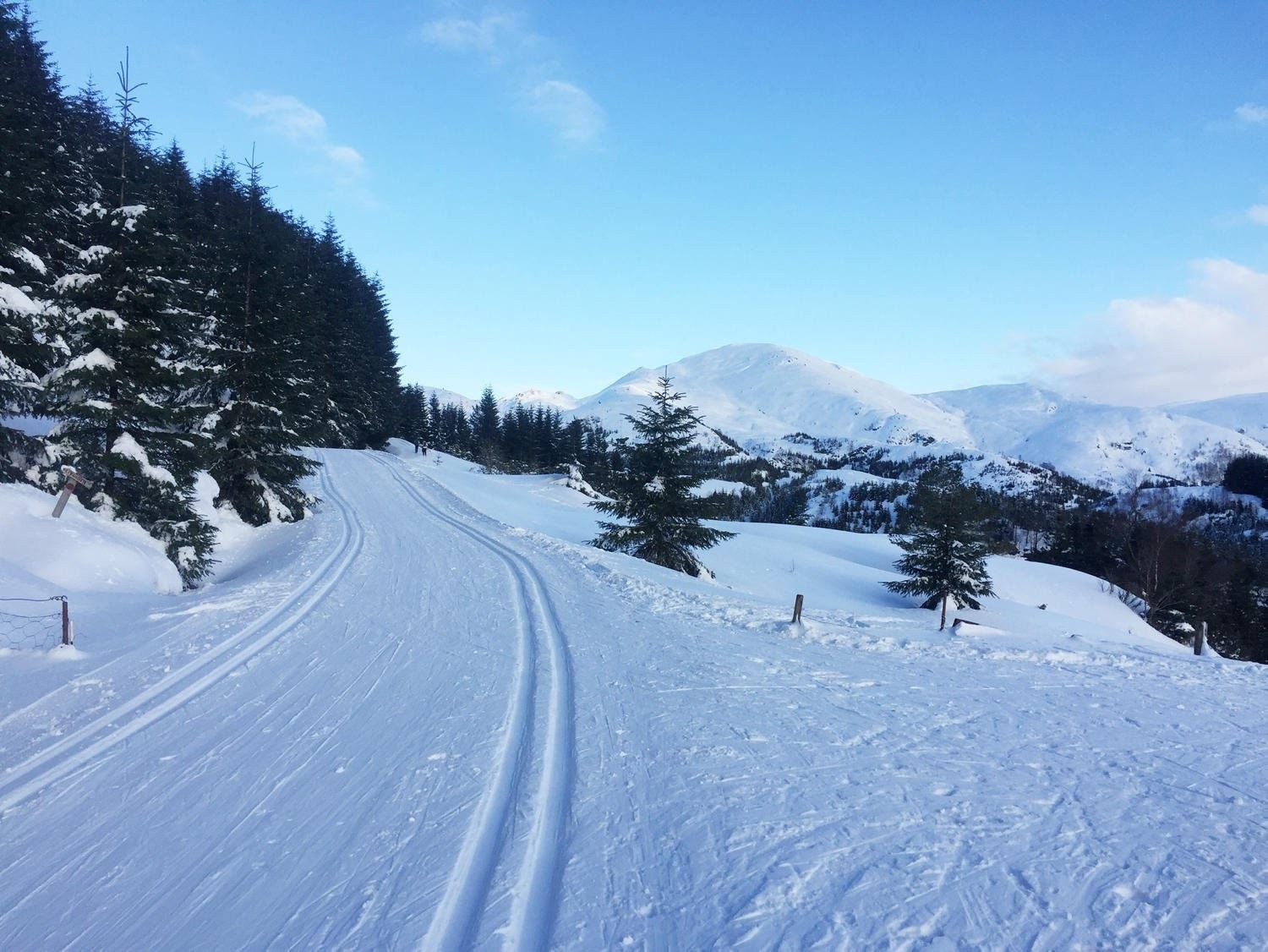 Skiløypene på Totland Galleribilde