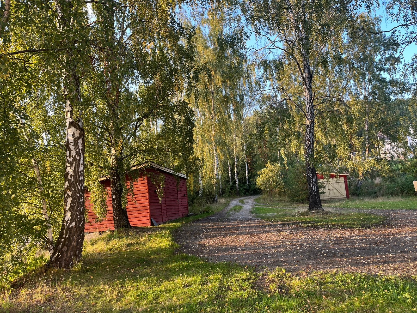 Gardsplassen sett fra huset Galleribilde