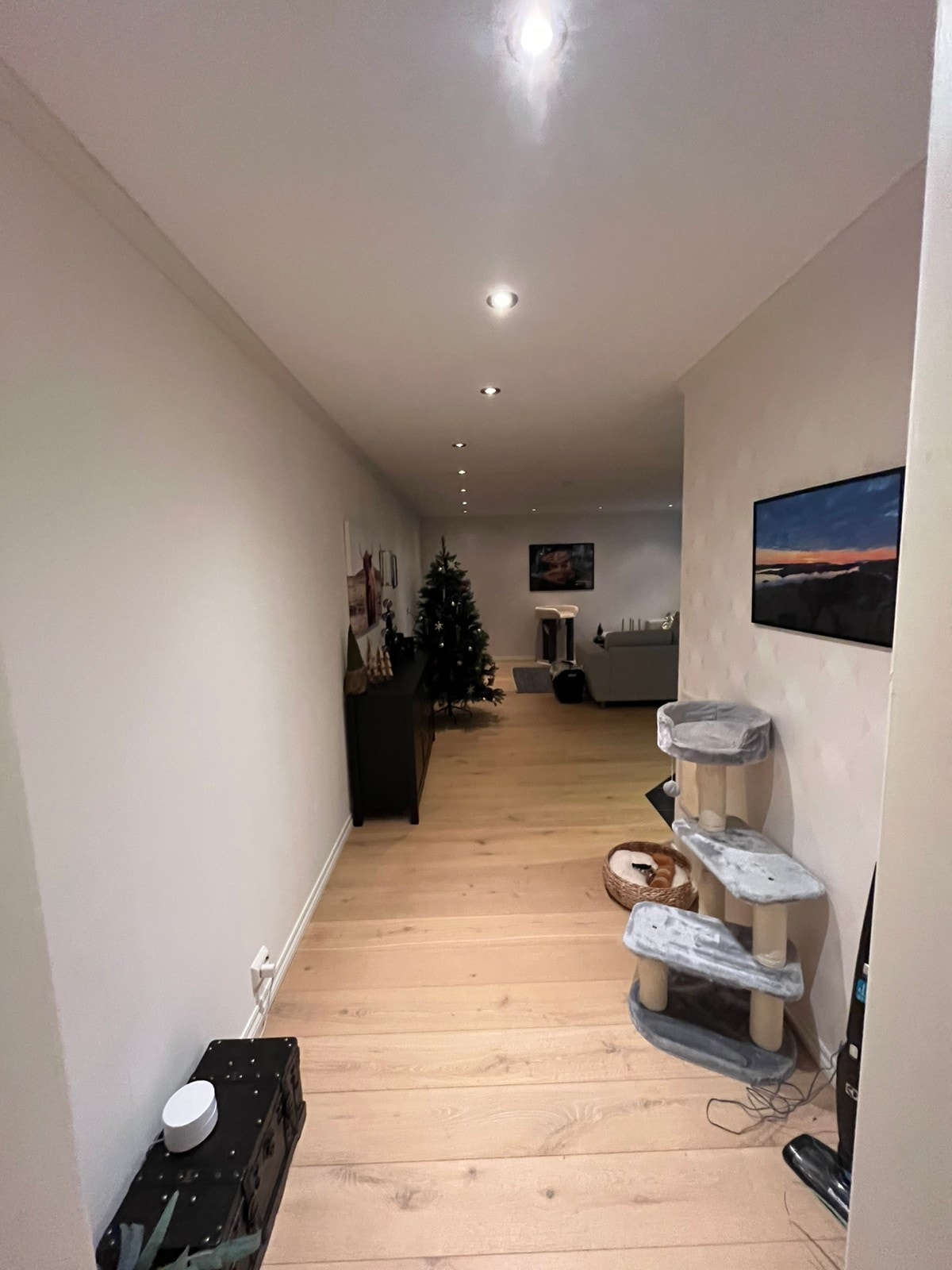 Inngang stue Galleribilde