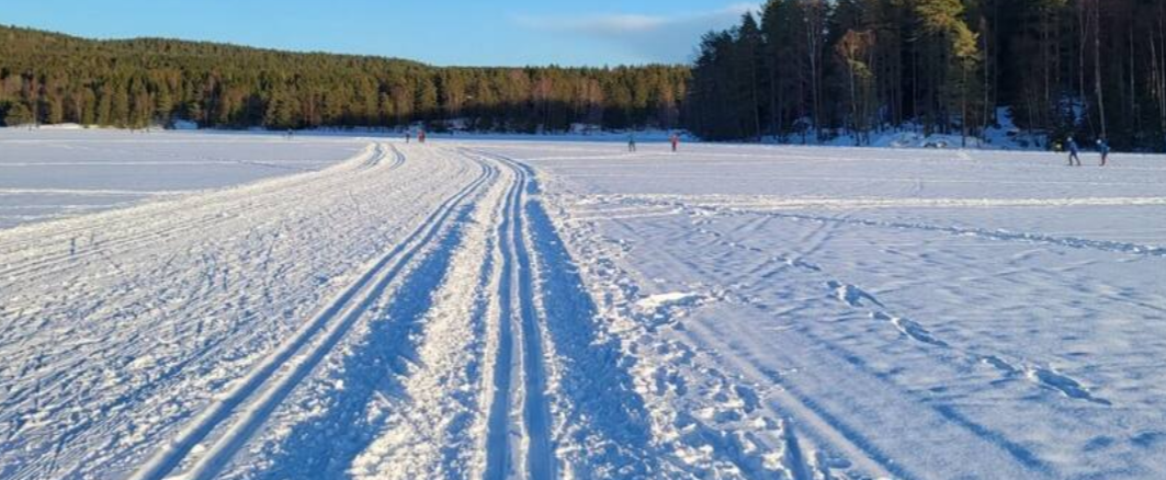 Skispor over Nøklevann Galleribilde