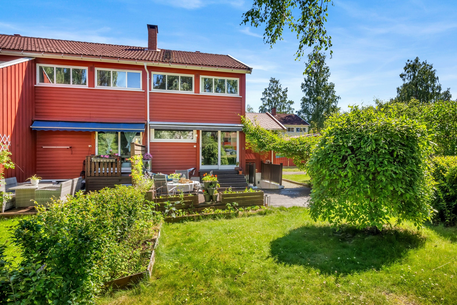 Grønn liten hage Galleribilde