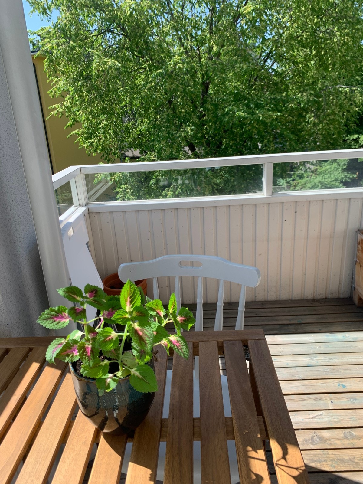 Veranda Galleribilde