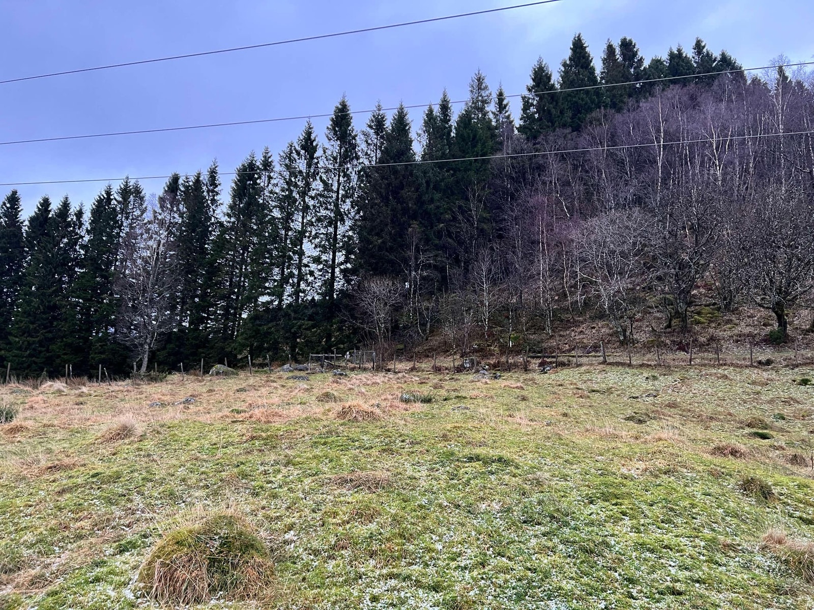 Øvst - flatt terreng Galleribilde