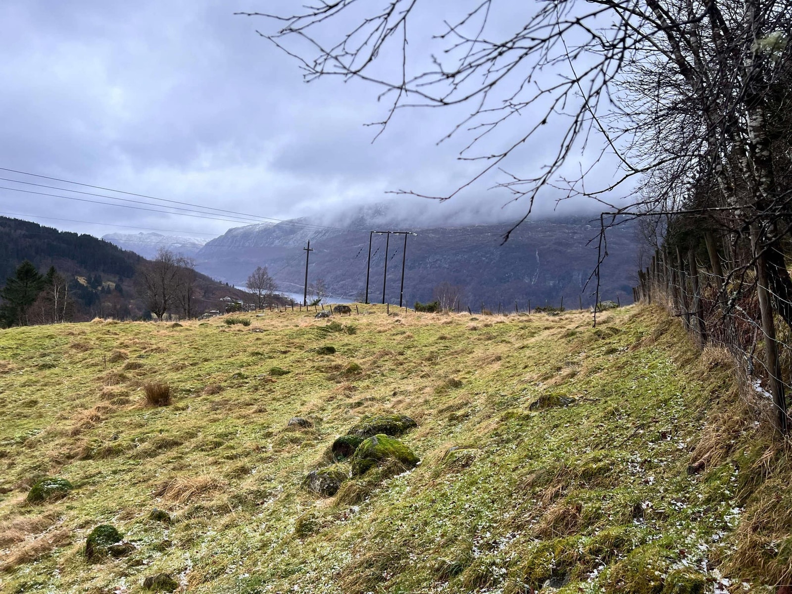 Øvst - flatt terreng Galleribilde