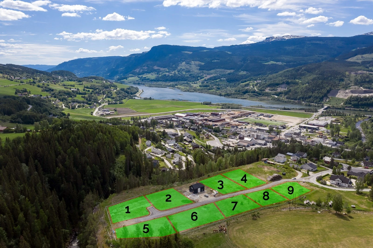 Tomt nr. 9. Galleribilde