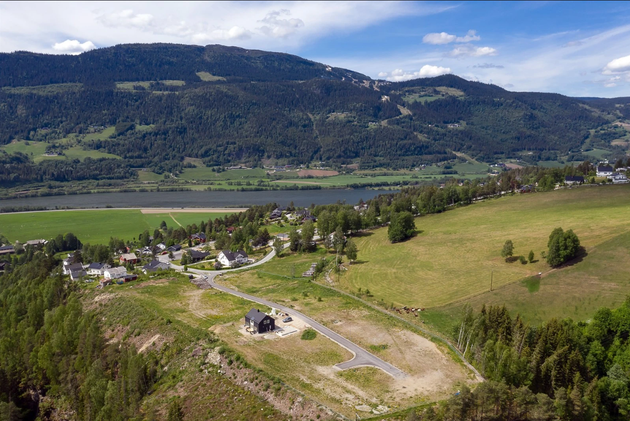 Området. Galleribilde