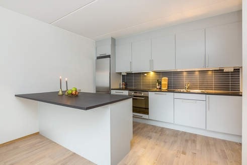 Praktisk kjøkken med god arbeidsplass. Integrert steikeomn, induksjonstopp og oppvaskmaskin. Kjøle- og fryseskåpet er frittståande. Galleribilde