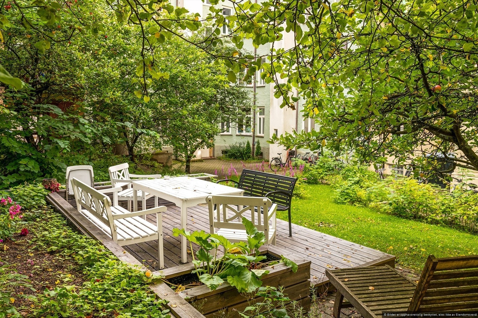 Frodig bakgård med epletre, bringebærbusker og rabarbra som beboerne man kan plukke om sommeren. Her er det det også felles plantekasser og sykkelparkering Galleribilde