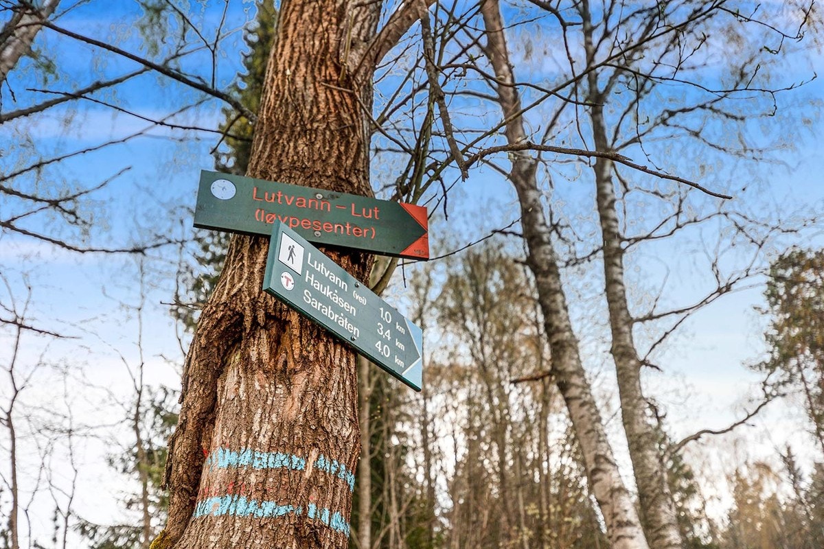 Marka ligger i umiddelbar nærhet med preparerte lysløyper og flotte turområder Galleribilde