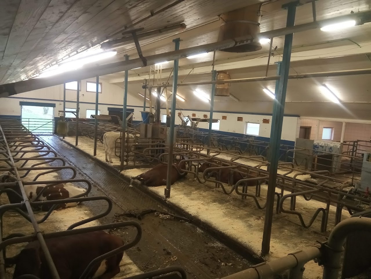 Driftsbygning Galleribilde