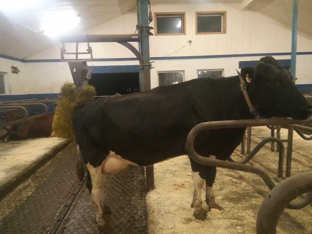 Driftsbygning Galleribilde