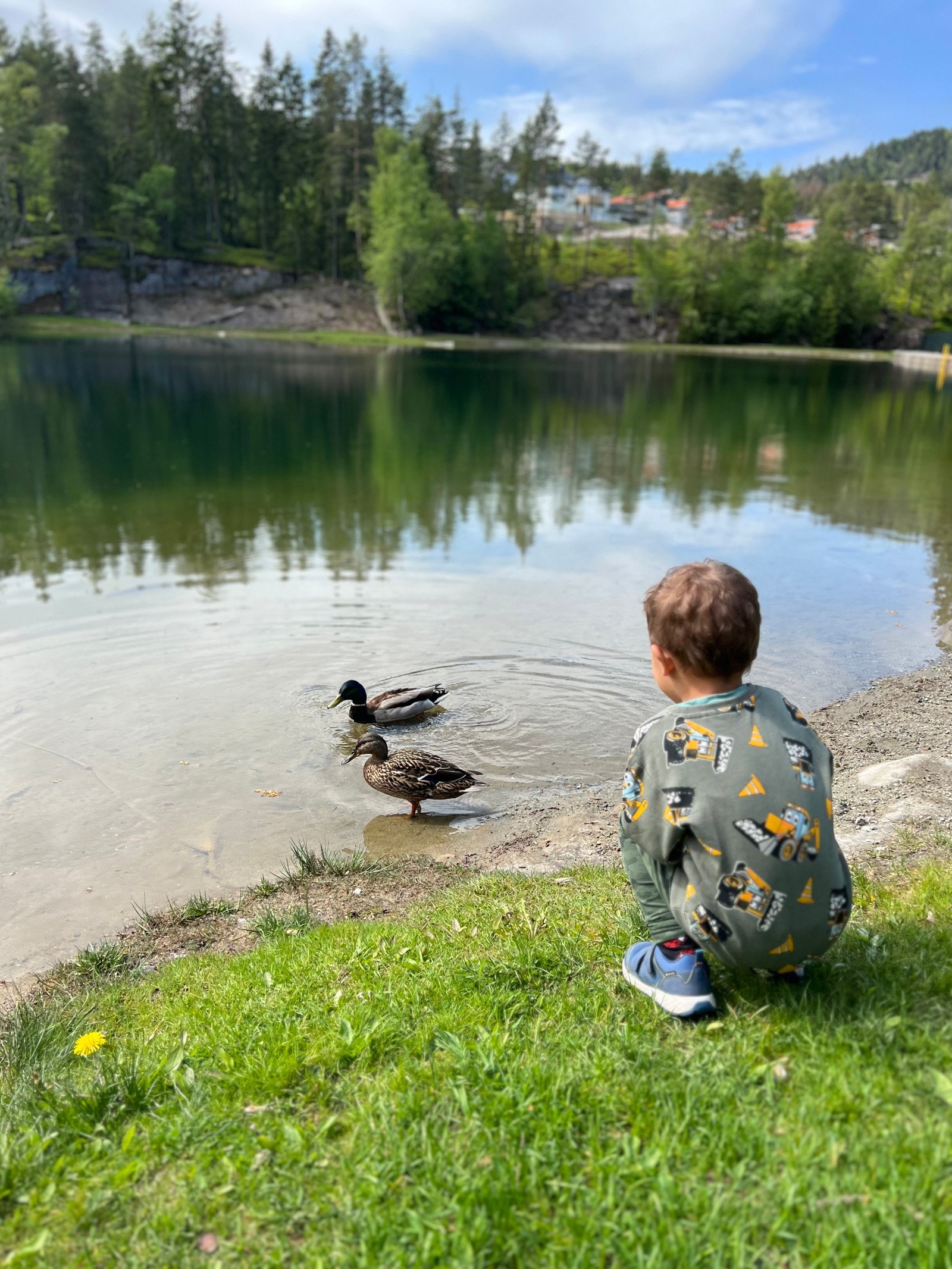 Kort vei til marka med familievennlig terreng - omlag 20 min. gange til Vannverksdammen med bademuligheter Galleribilde