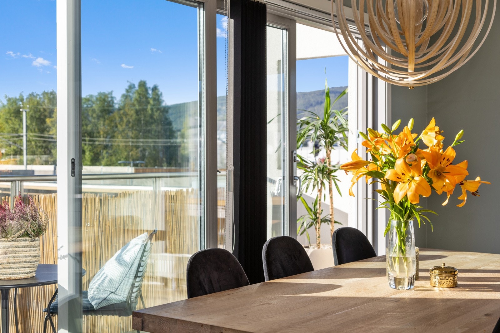 Fin utsikt Galleribilde