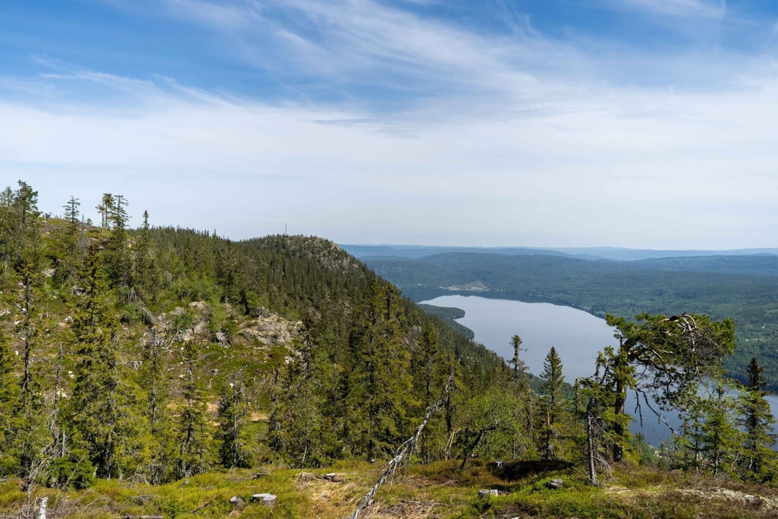 Fra denne tomten ser man langt, og man kan se mye urørt natur som gir glede i hverdagen. Galleribilde