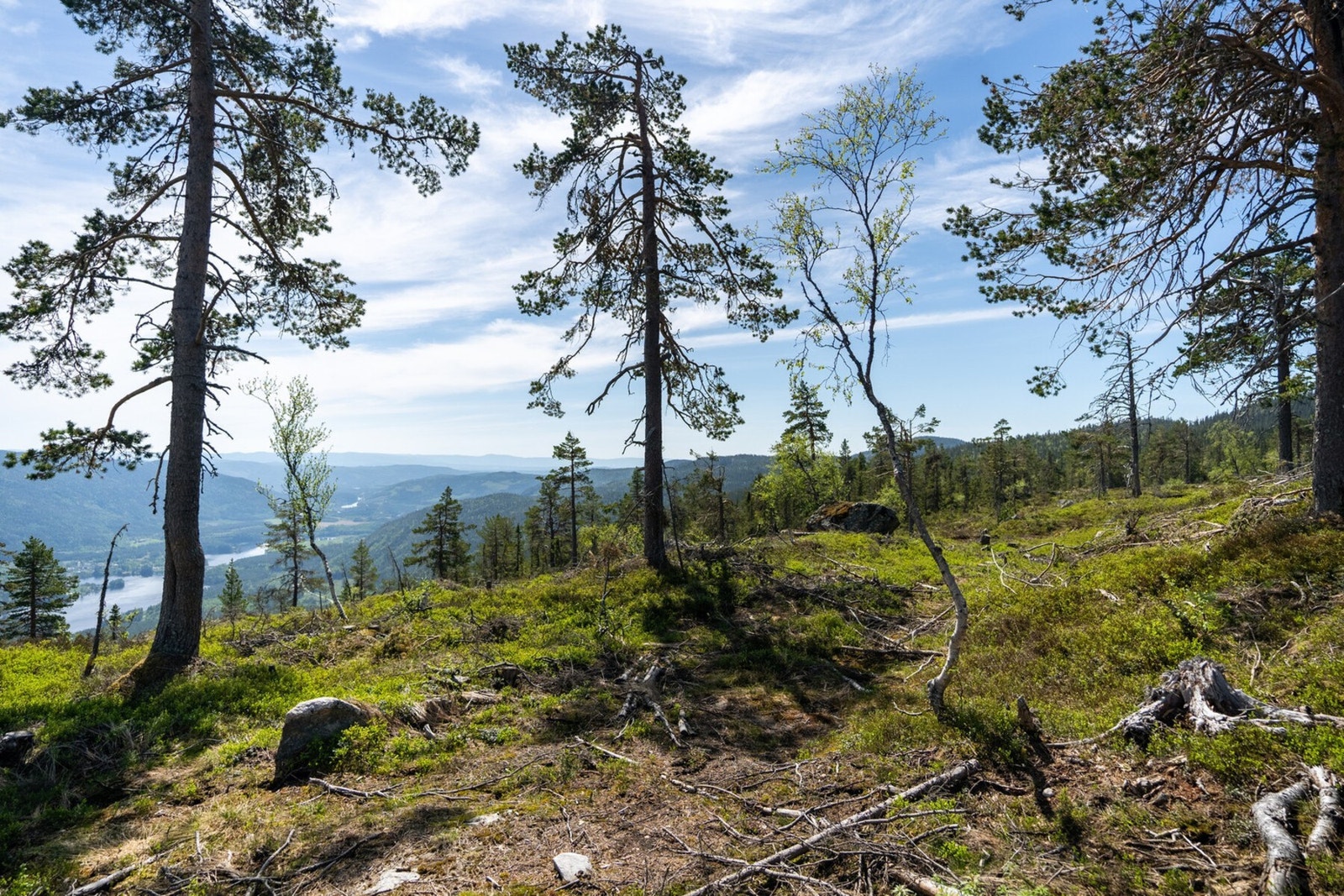 Høgfjell Horisont må oppleves, dette er et felt som byr på spektakulær utsikt, turmuligheter og ro for alle og enhver. Galleribilde