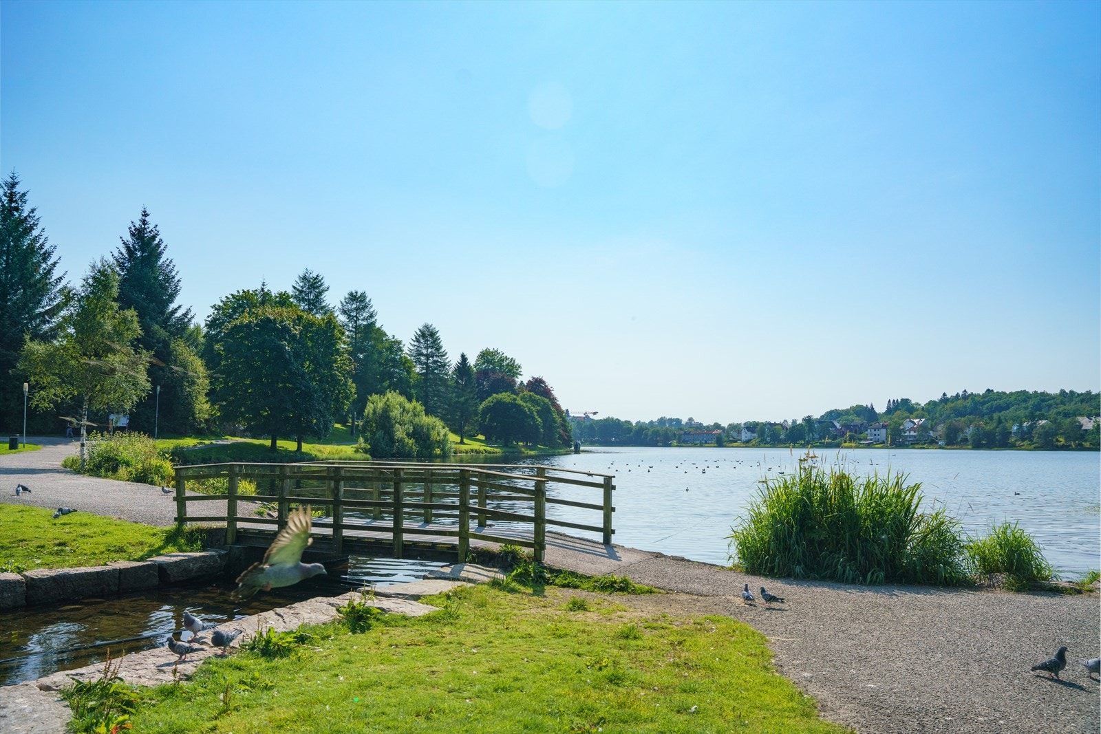 - Idylliske Tveitevannet er helt perfekt for både joggetur og gåturer - Galleribilde