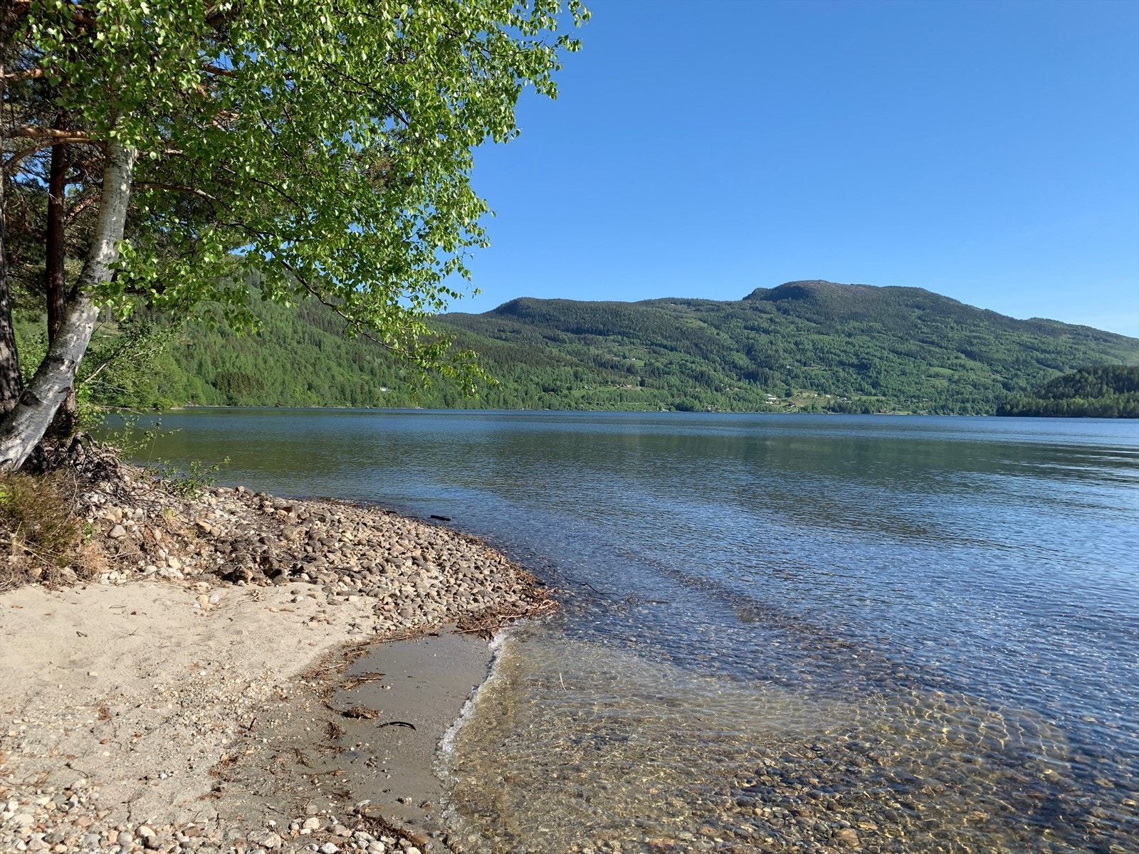 (Privat bilde) Galleribilde