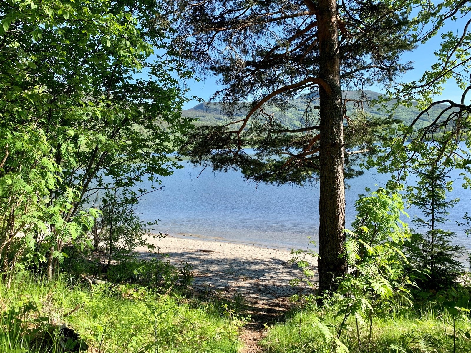 Selger opplyser om at de deler en strand nede ved vannkanten med de andre hyttene. (Selgers private bilde) Galleribilde