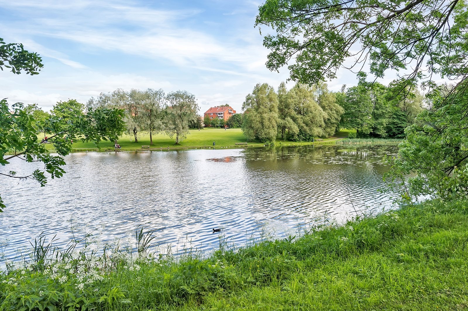 - Nærområdet - Galleribilde