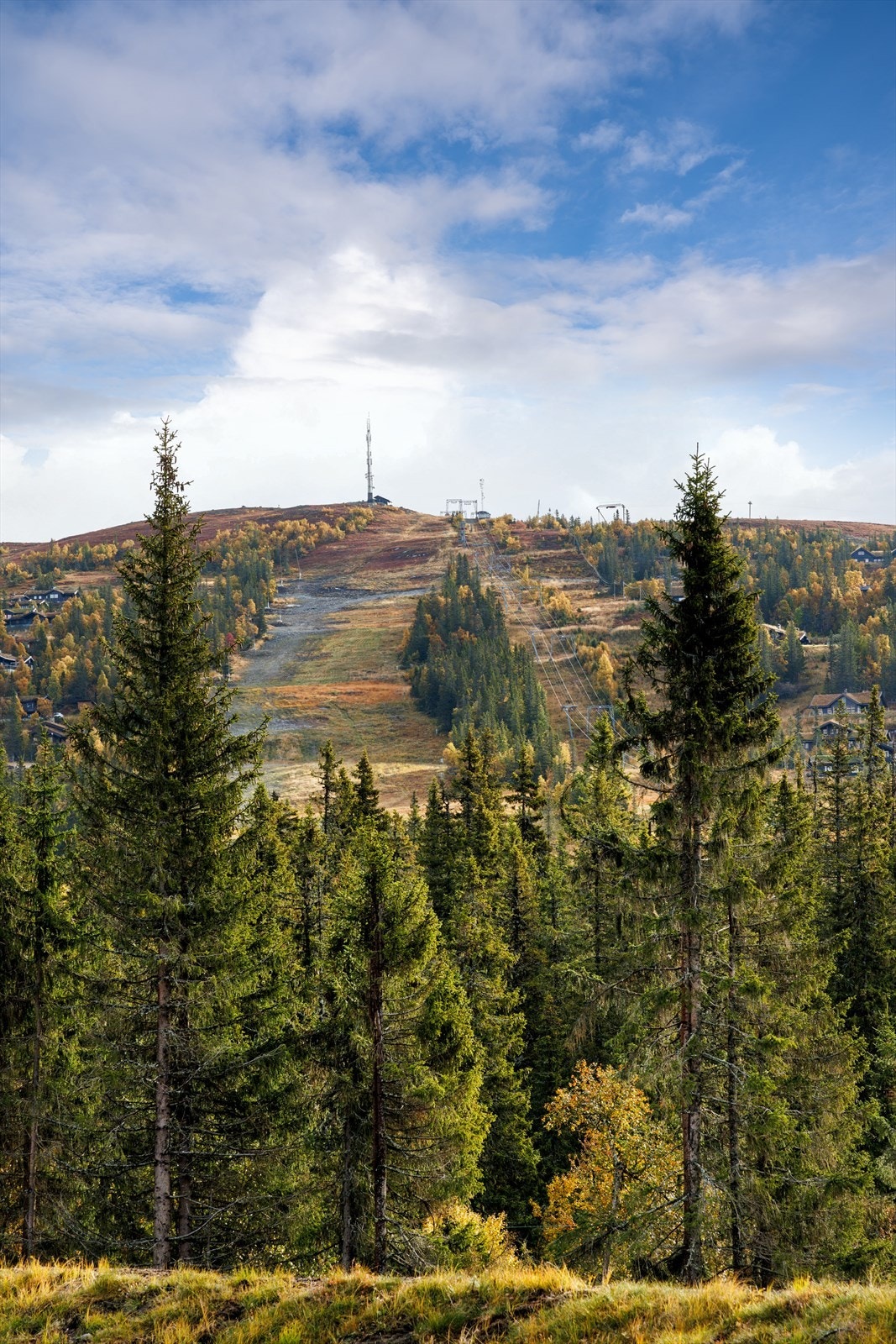 Utsikt mot Haglebu skianlegg. Galleribilde