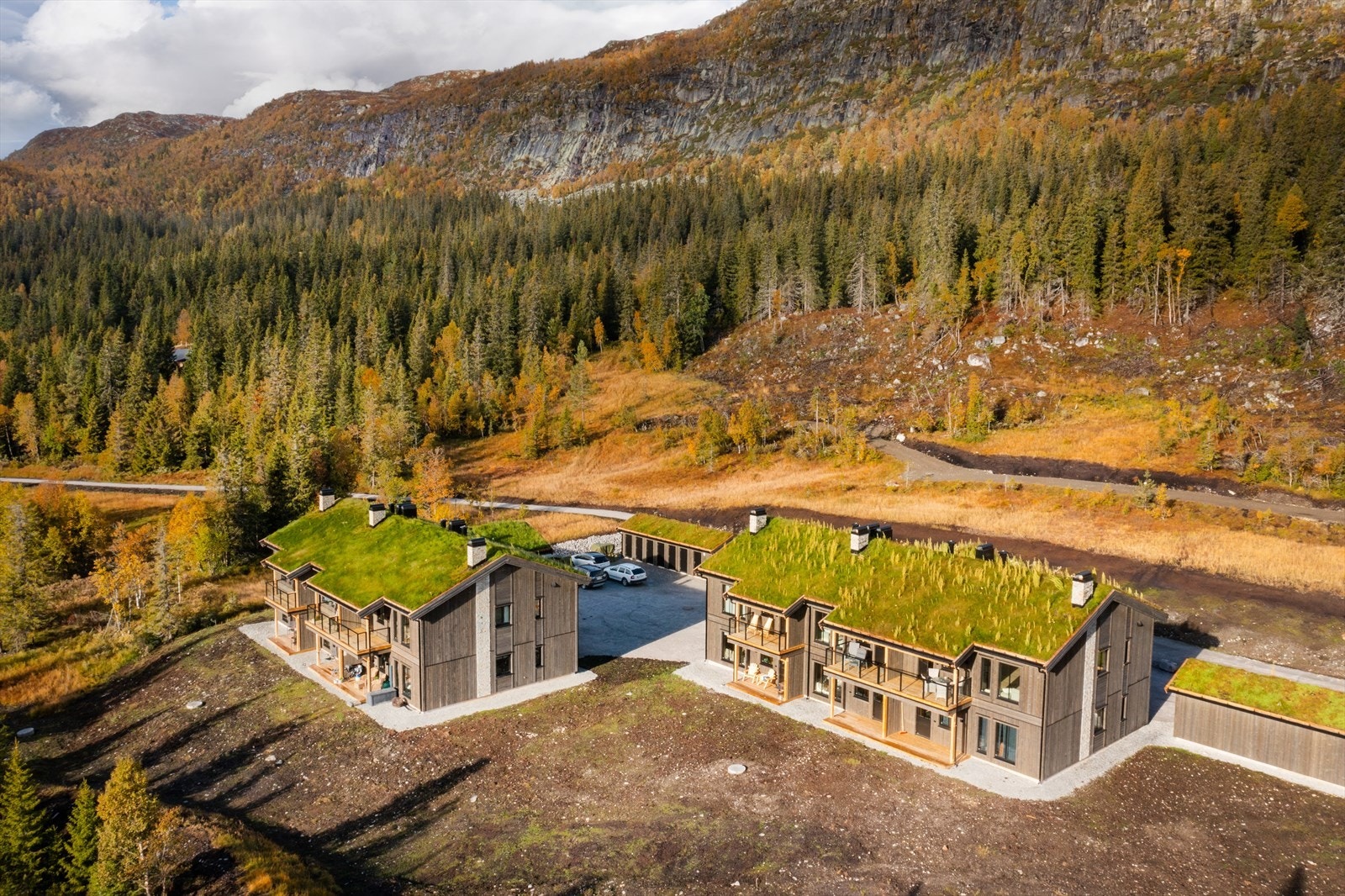 Kort gåavstand til alpinanlegg, samt preparerte skiløyper rett utenfor døra. Galleribilde