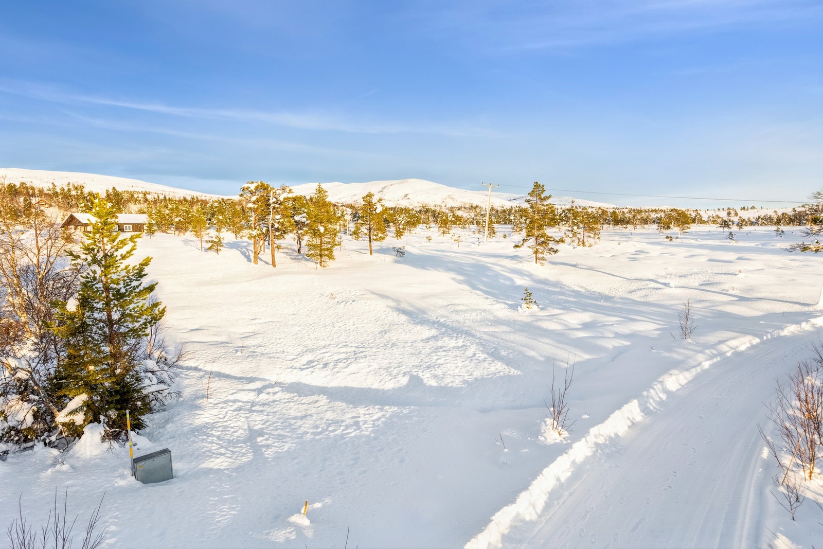 Velkommen til Grindaslættet 8! En flott, ubebygd fritidstomt på Søvasskjølen. Galleribilde