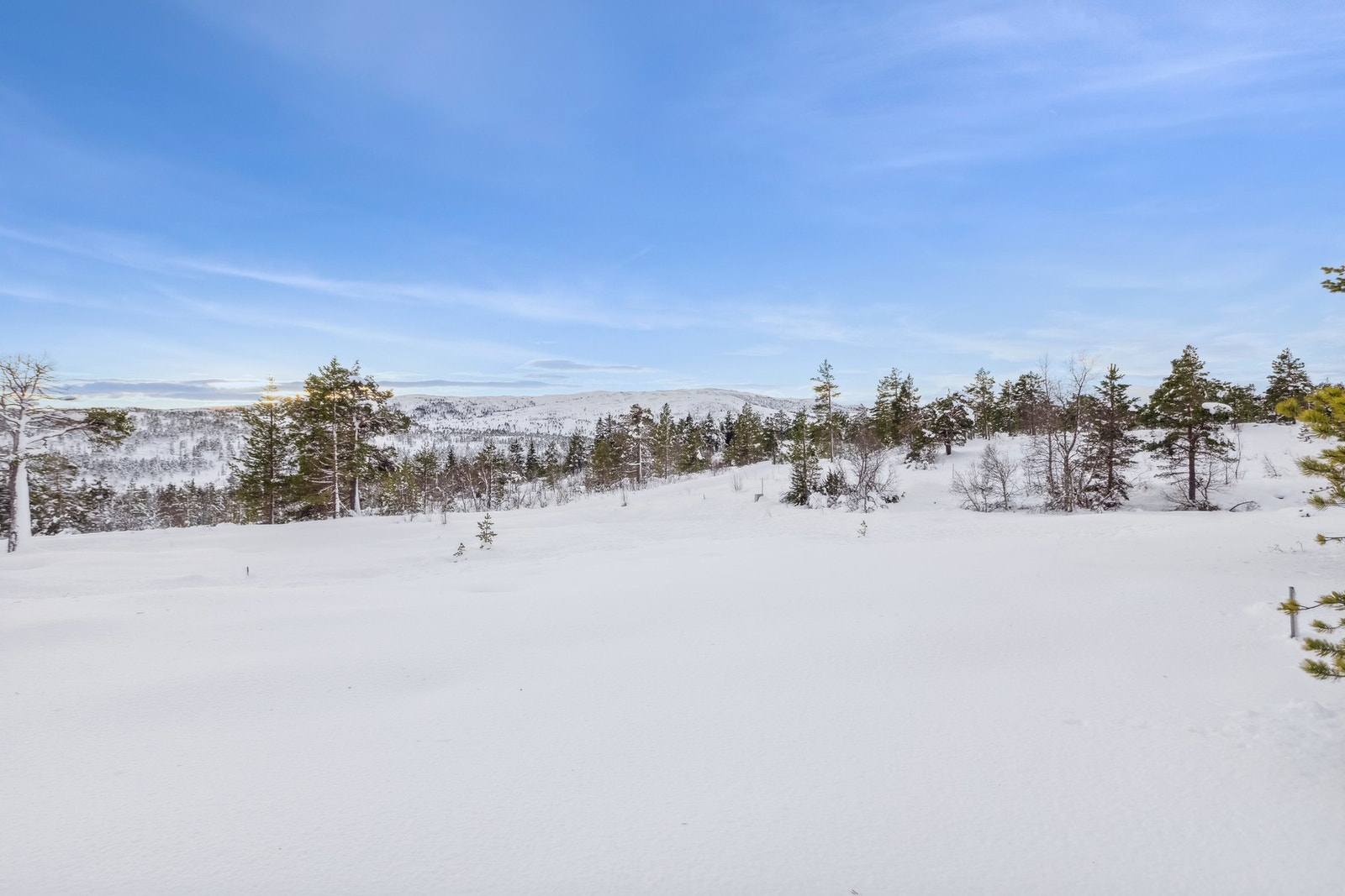 Eiendommen er lett skrånet med et areal på ca. 950 kvm. Galleribilde