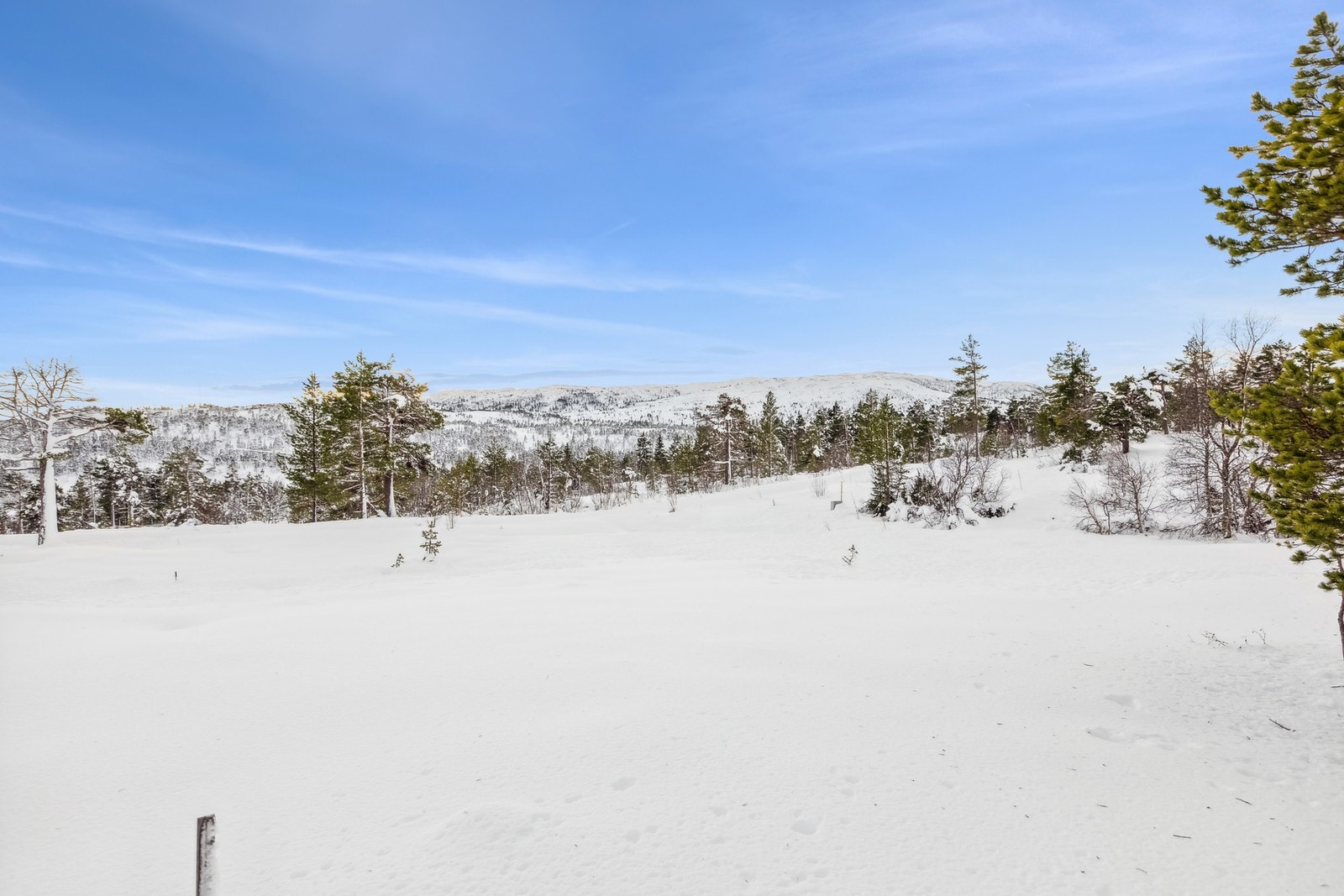 Fra tomten er det en fin utsikt og man har umiddelbar nærhet til helårlig turterreng. Galleribilde