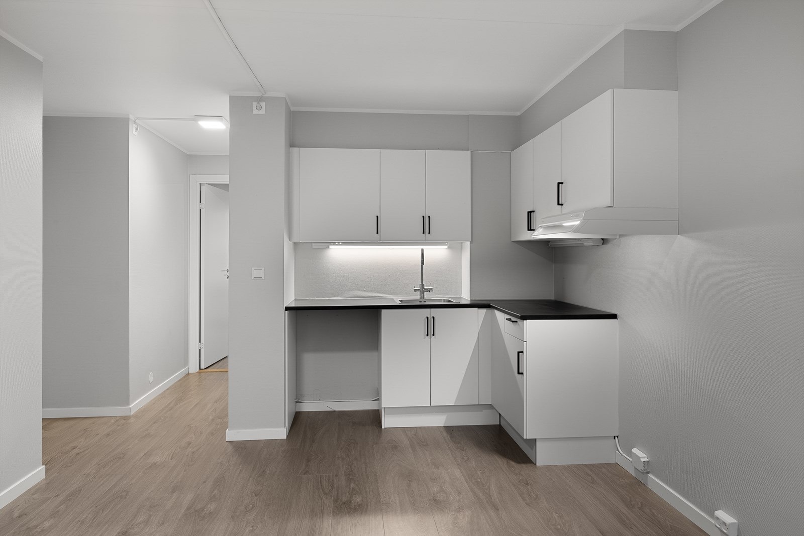 Stue/Kjøkken/Entrè Galleribilde