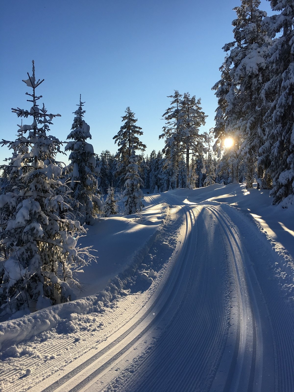 Vinterbilde skiløype nærområdet Galleribilde