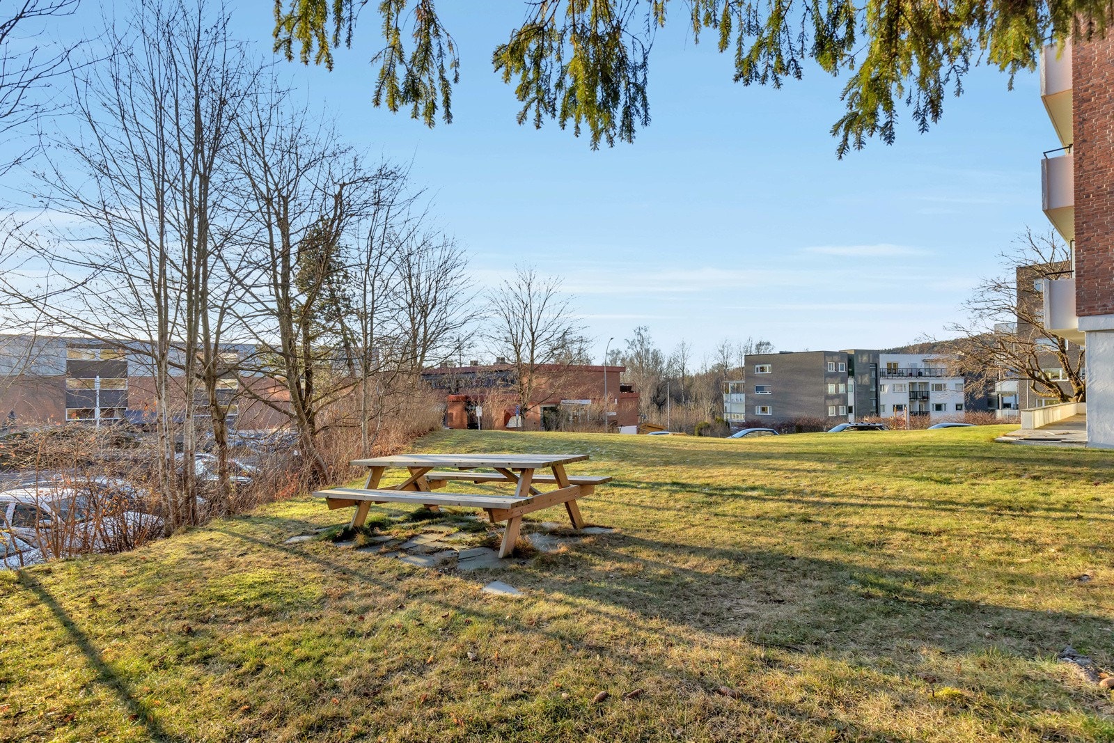 Fine uteområder rundt blokka med plen, trær og sittegruppe. Galleribilde