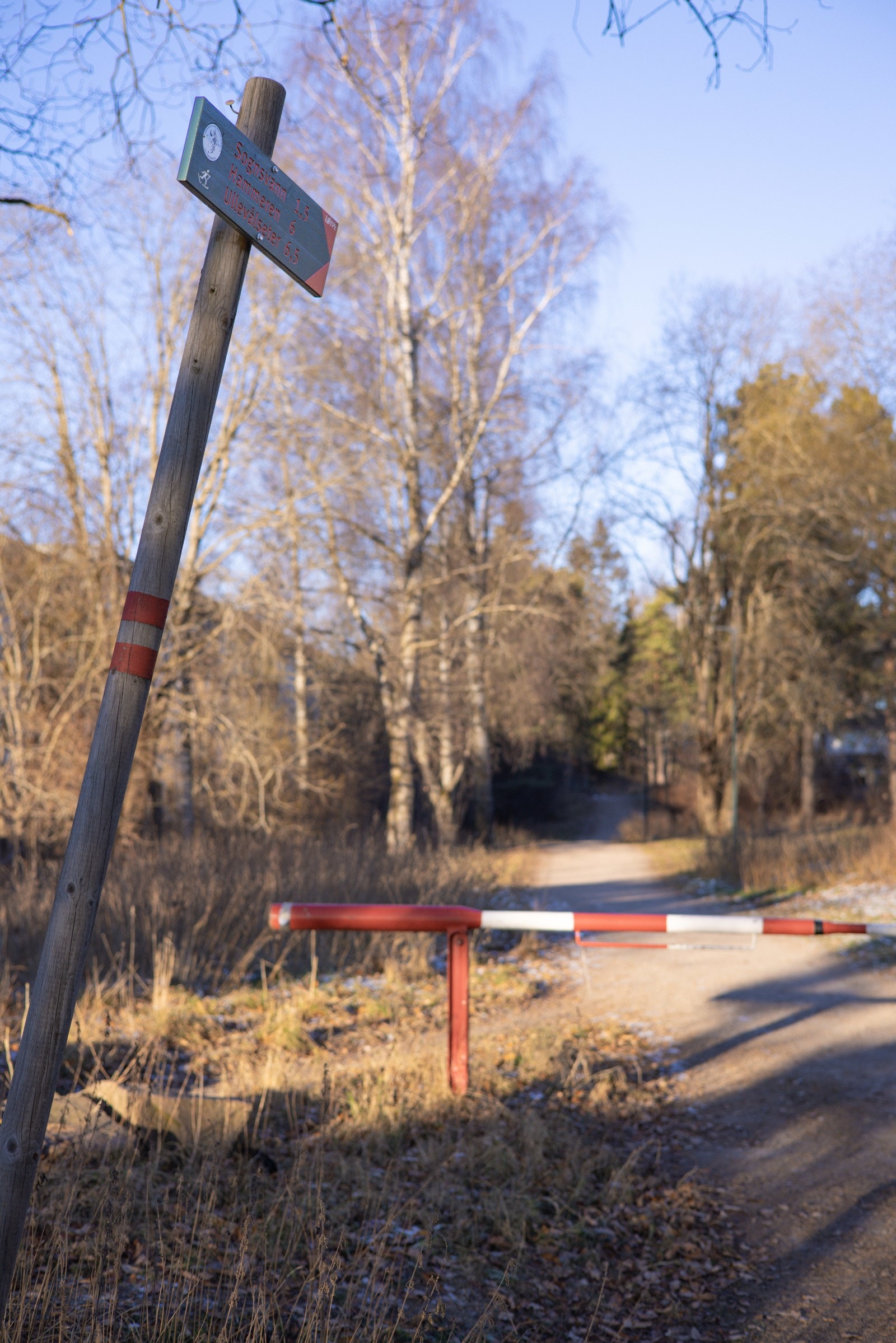 Det er 220 meter å gå til nærmeste skiløype som leder inn i markas rutenett av skispor og badevann. Galleribilde