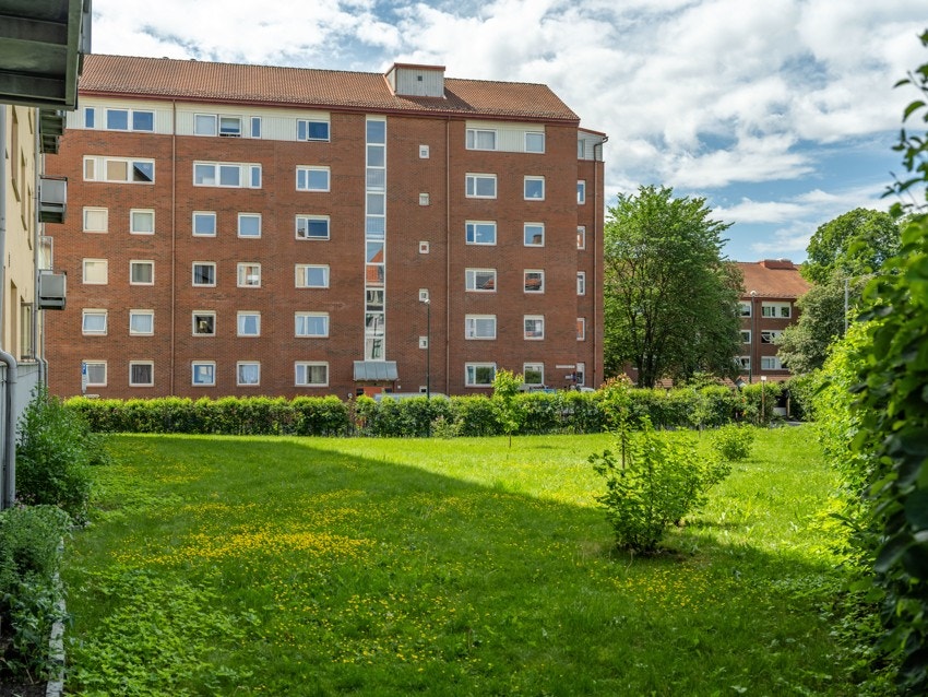 Her er sommerbilde av forhagen som stuen vender ut mot. Ganske deilig å ikke ha nabo tett på! Galleribilde