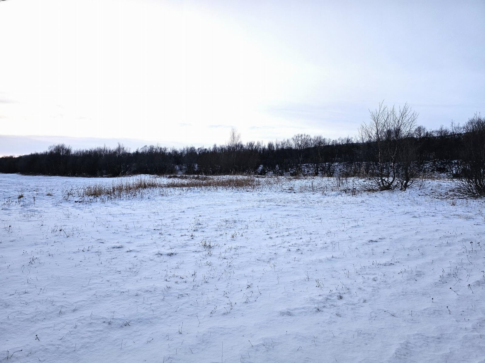 Eiendommen er på hele 49 500 m2 og består av noe oppdyrket areal. Galleribilde