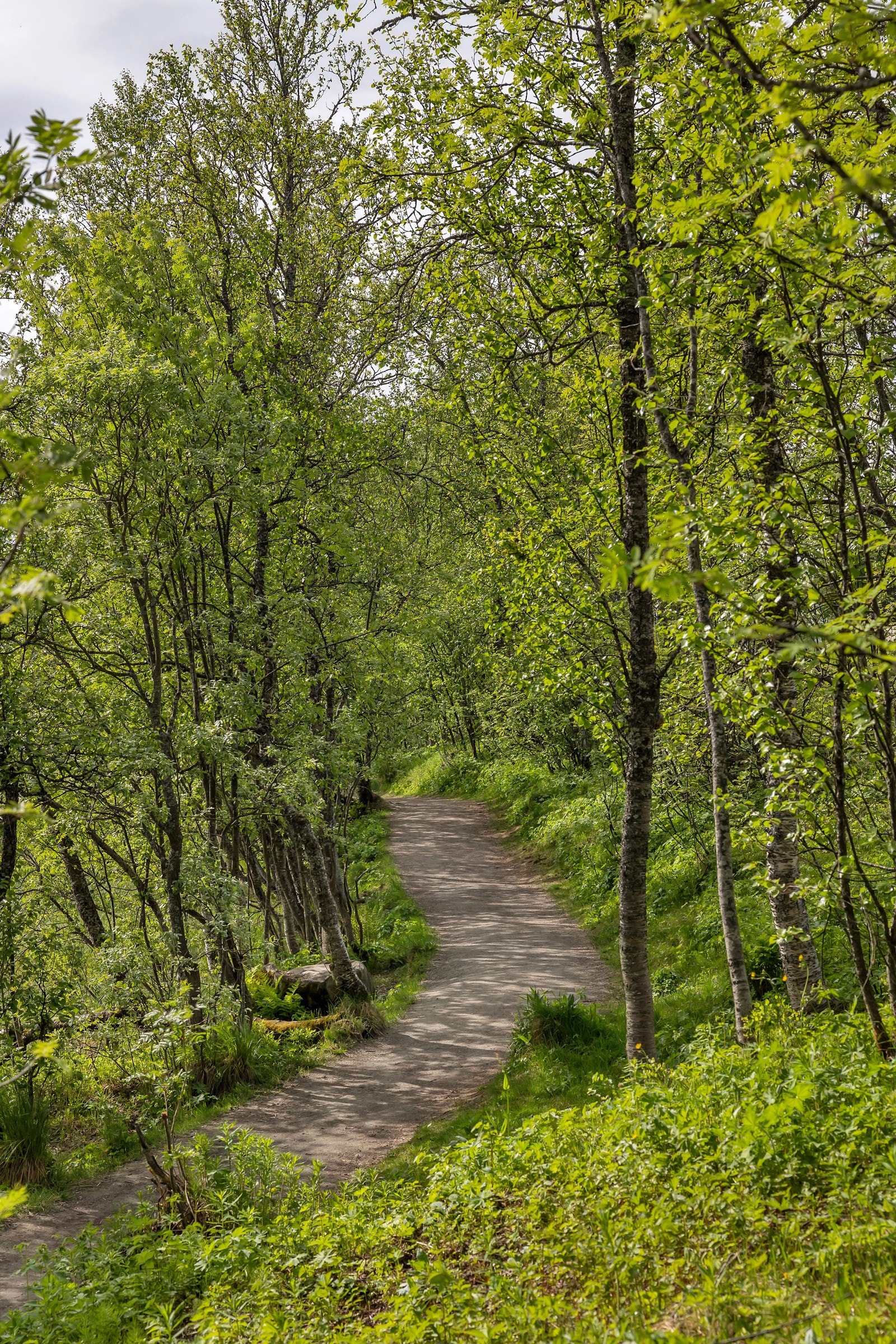 Stiene opp- og rundt Prestvannet er like ved Galleribilde