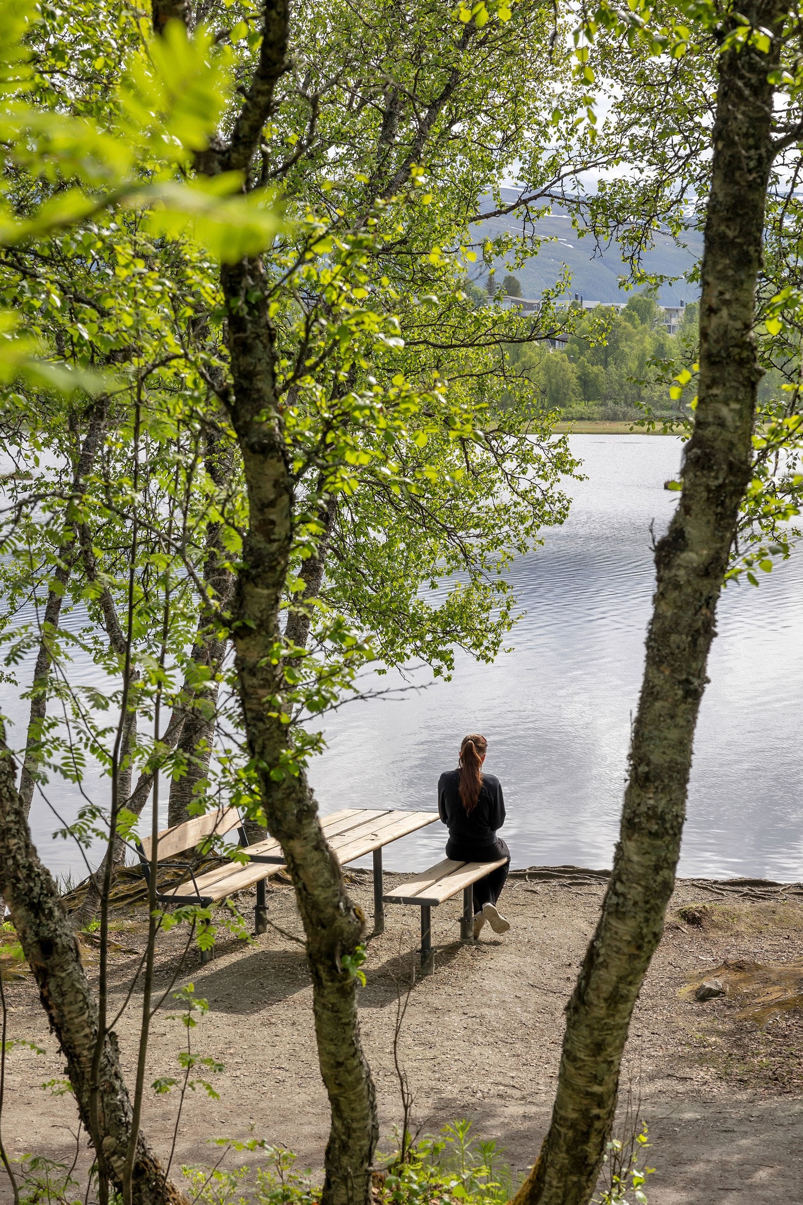 Prestvannet Galleribilde