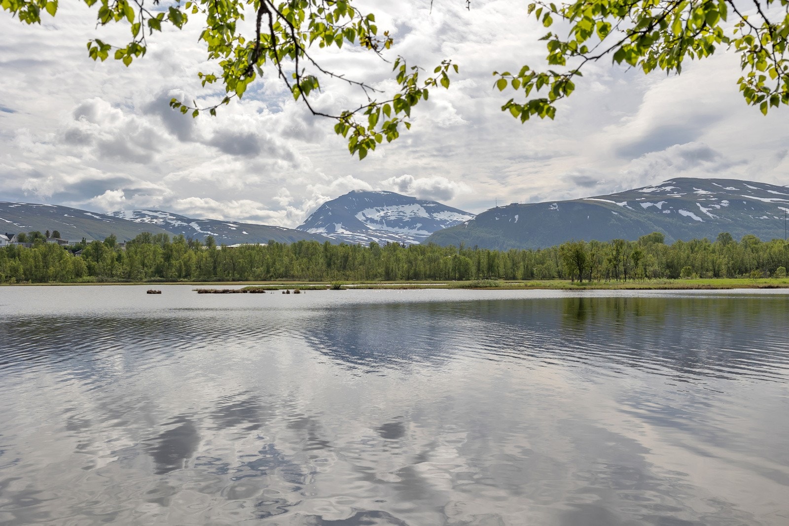 - Velkommen på visning! Galleribilde