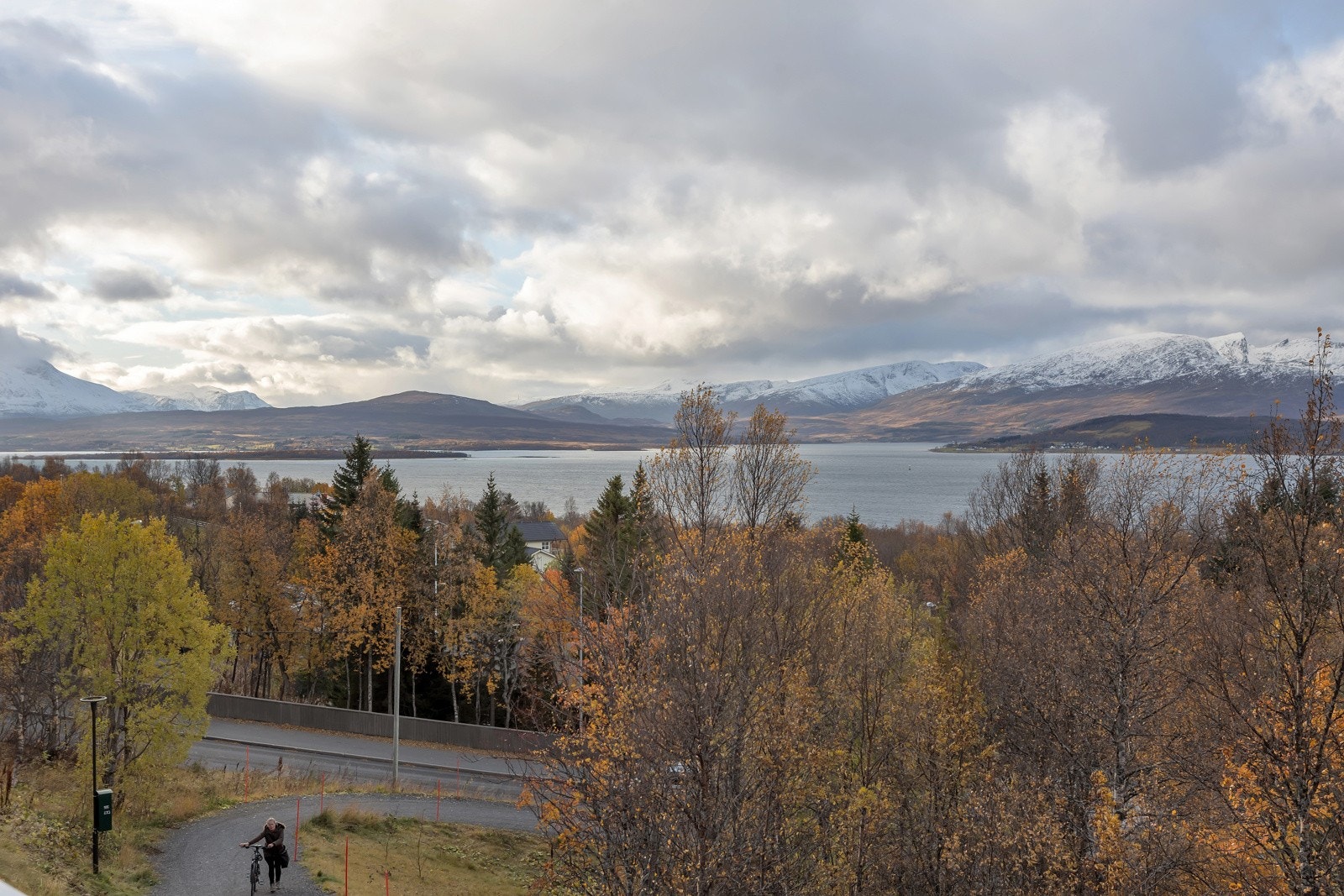 Utsikt mot sør-vest Galleribilde