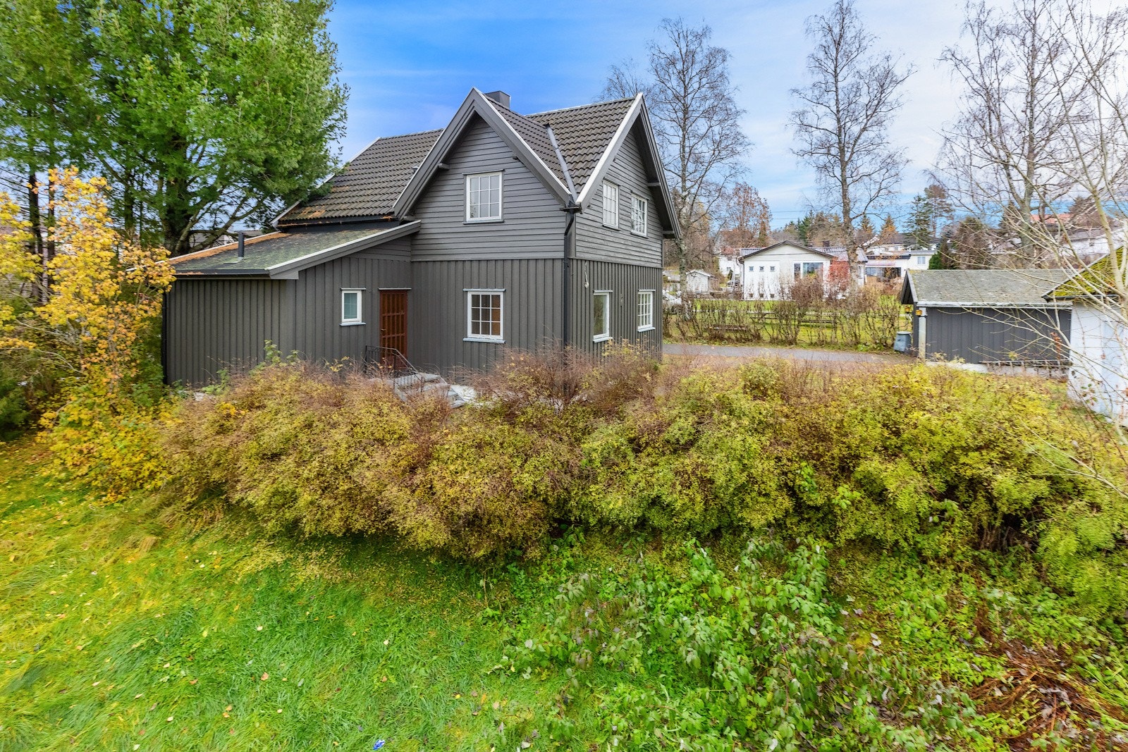 Frodig hage med gressplen og diverse beplantninger Galleribilde