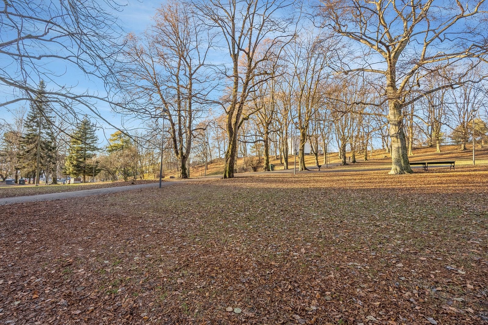 St. Hanshaugen park i umiddelbar nærhet. Galleribilde