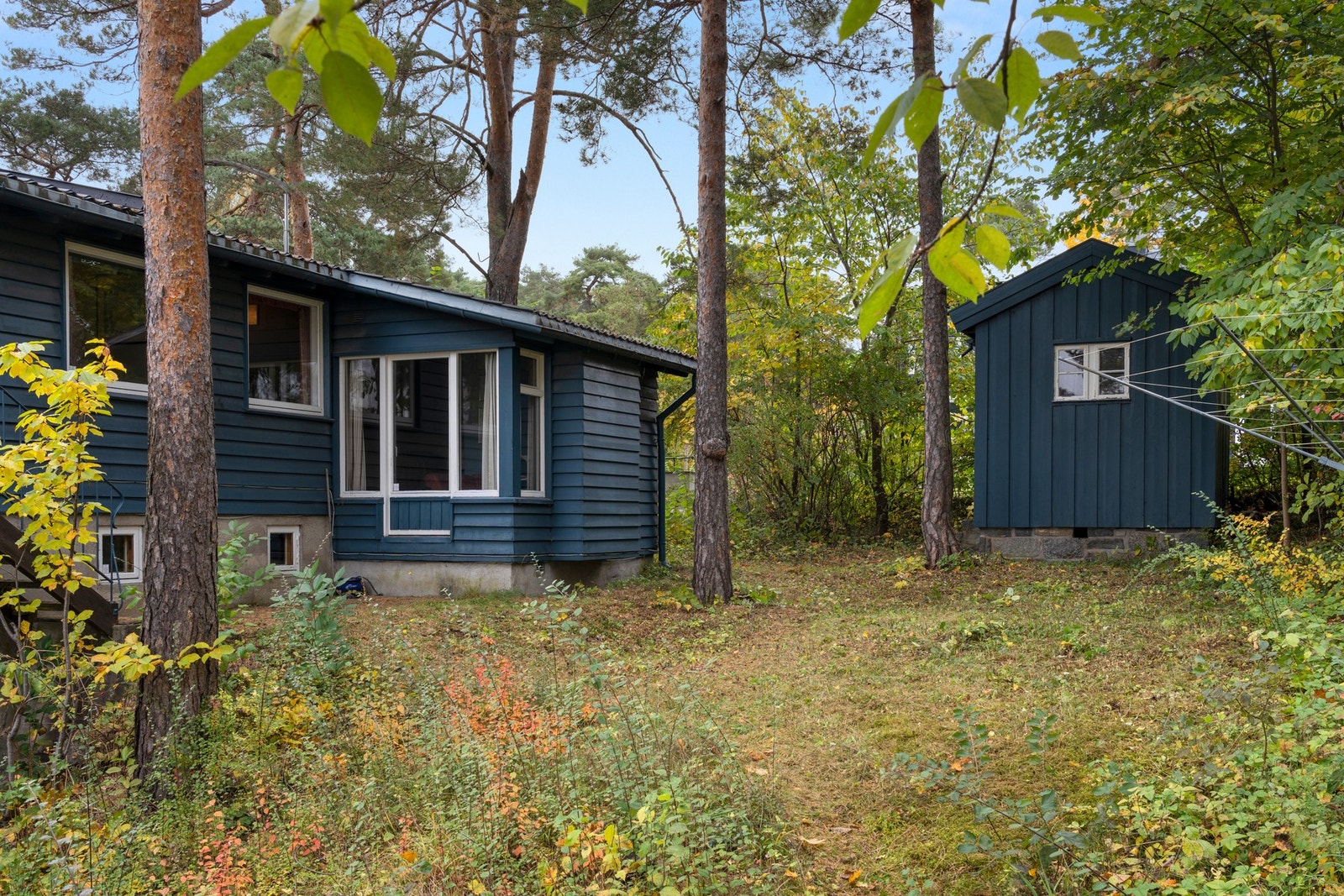 Hagen er omkranset av naturlig vegetasjon som har stort potensial. Galleribilde