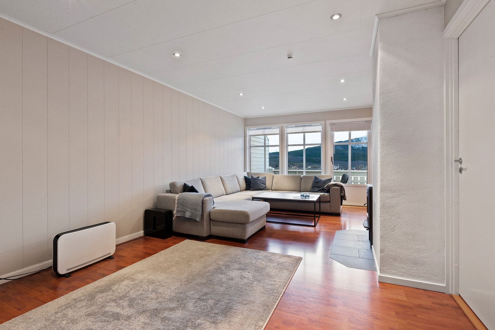 Lys og innbydende stue med spotter i tak. Galleribilde