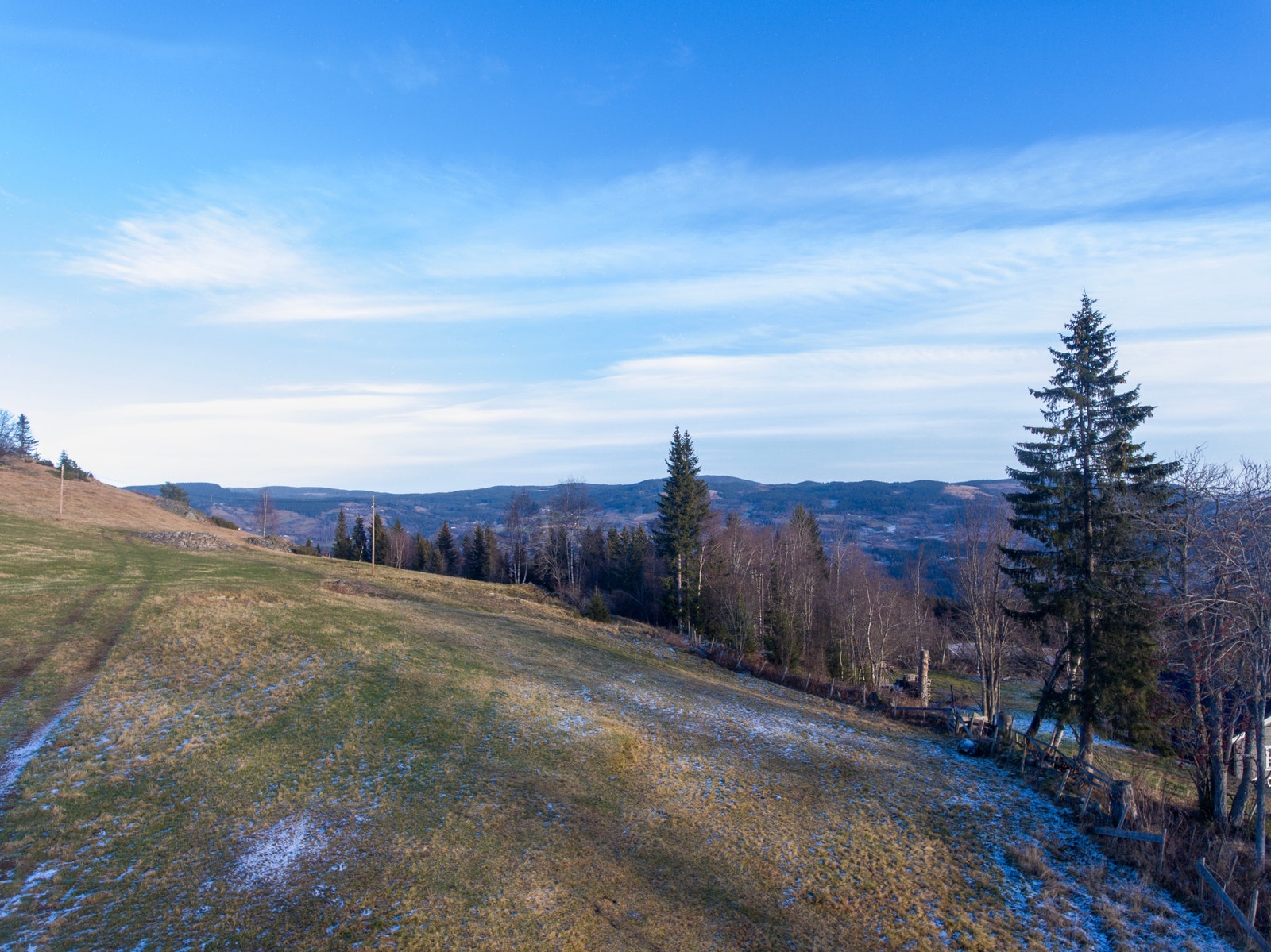 Utsikt rett opp fra tomta omtrentlig mot nord Galleribilde