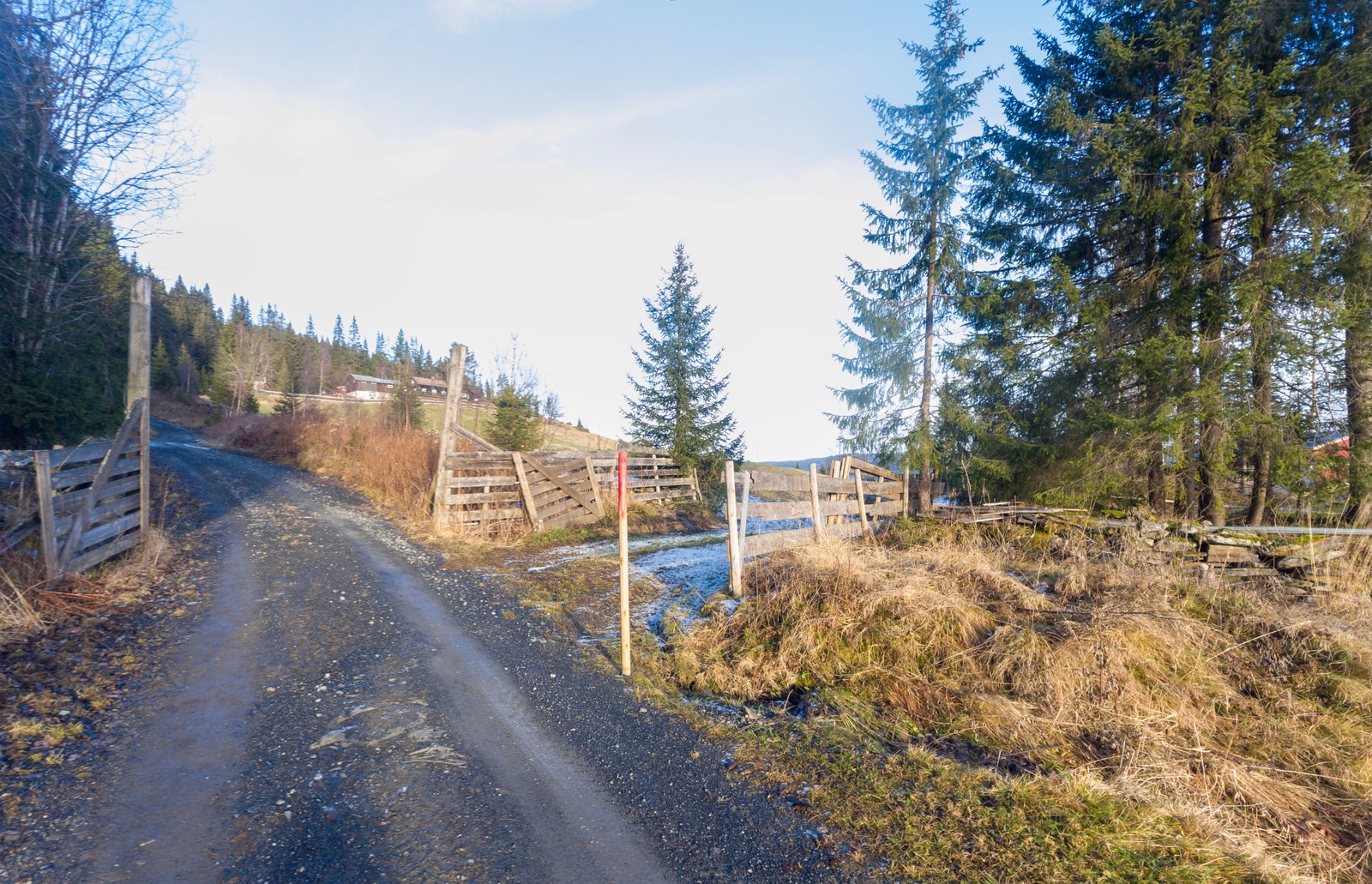 Mot inngang, vei for tomta Galleribilde